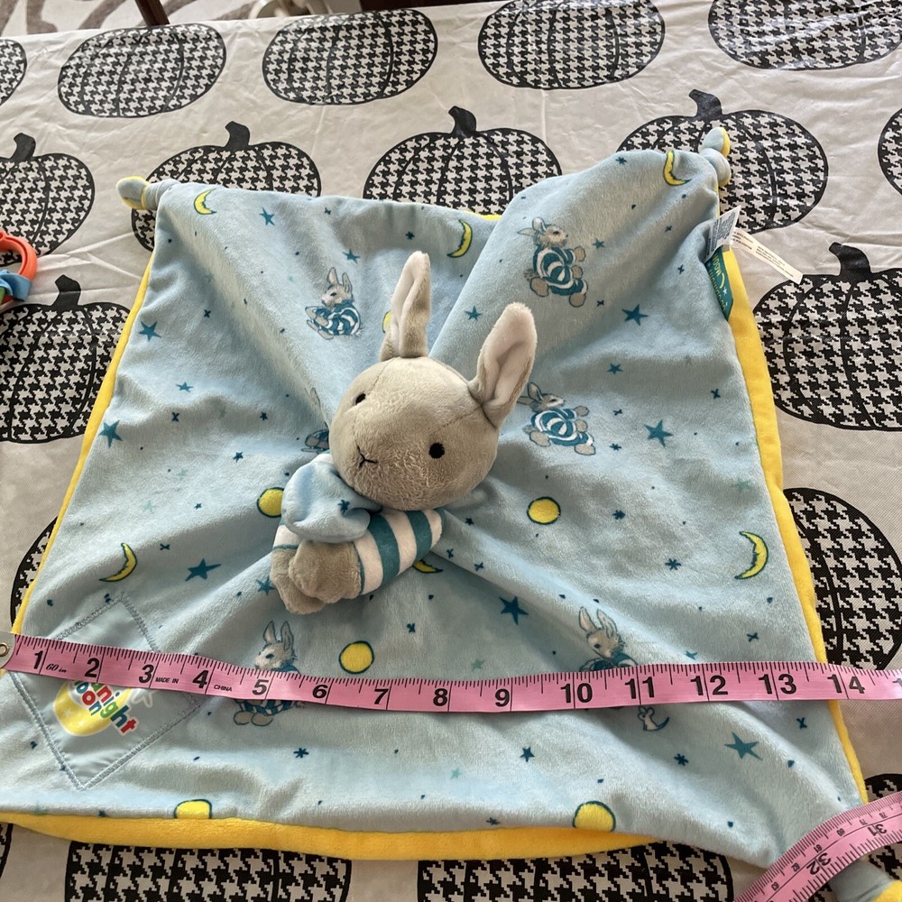 Good Night Moon Crinkle Book And Blankey