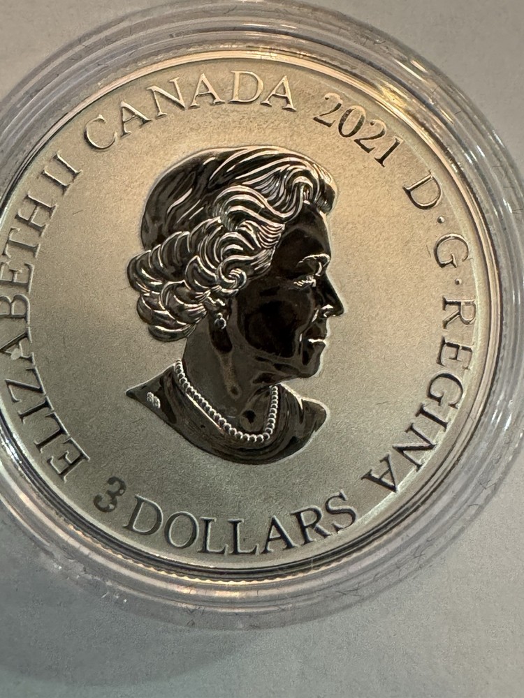 2021 7.96g PURE SILVER COIN.