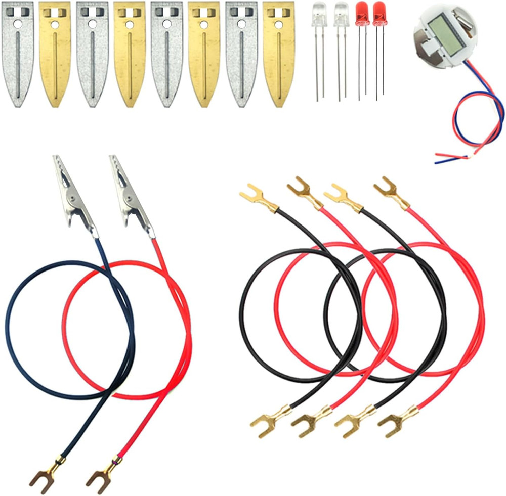 Fruit Battery Science Experiment Kit with Electronic Clock and RGB LED for DI...
