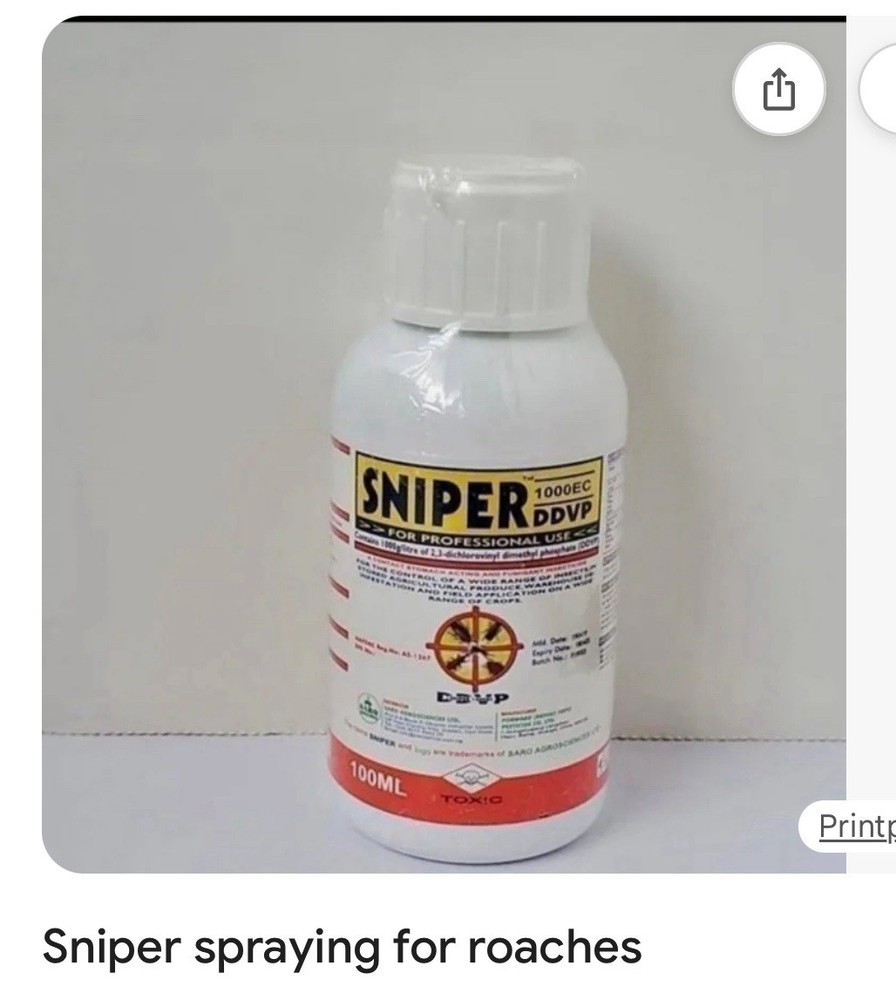 Rapido