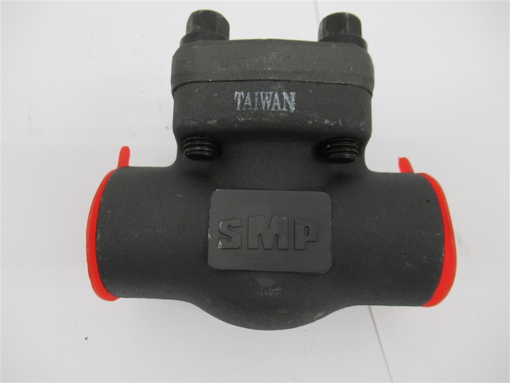 SMP Valve SM840CS , 1" NPT Swing Check Valve