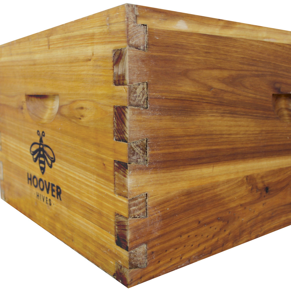 Wax-Coated 8 Frame Beehive - Starter Kit Starter Kit With 3 Frames