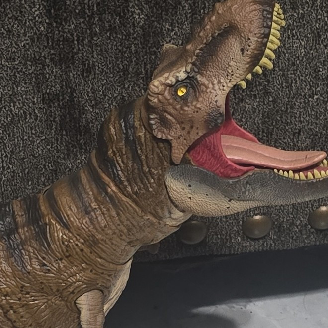 hanmond collection trex