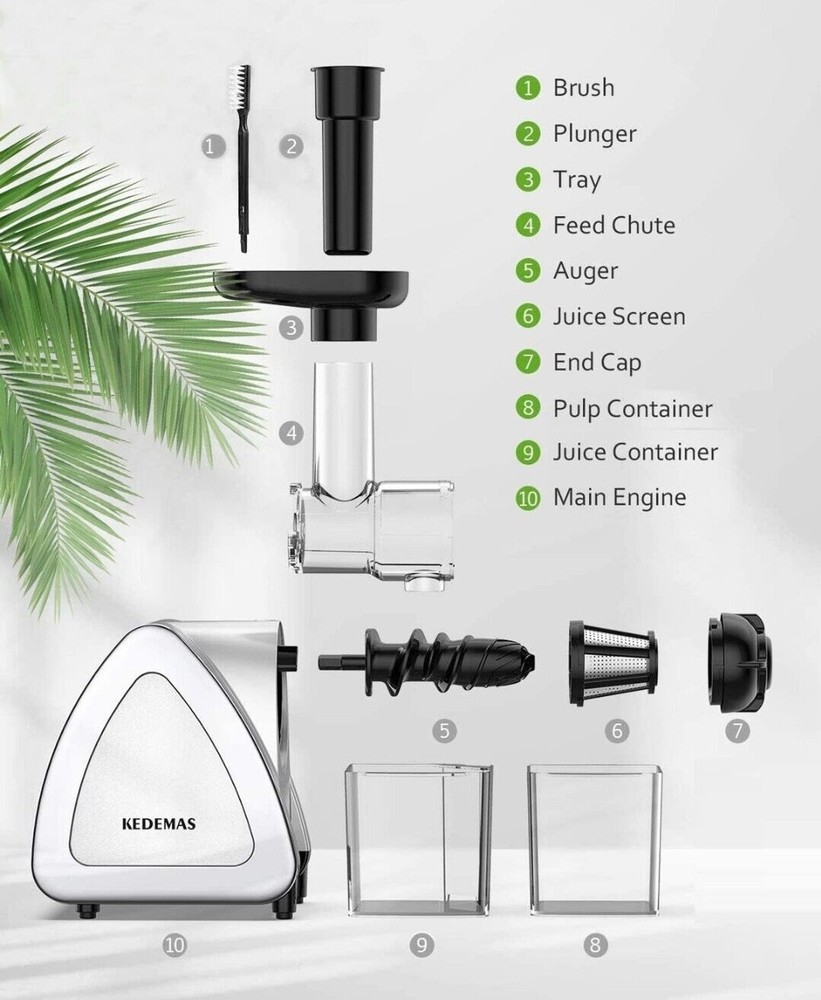 Slow Masticating Juicer with Reverse Function, Cold press, Silver, Portable
