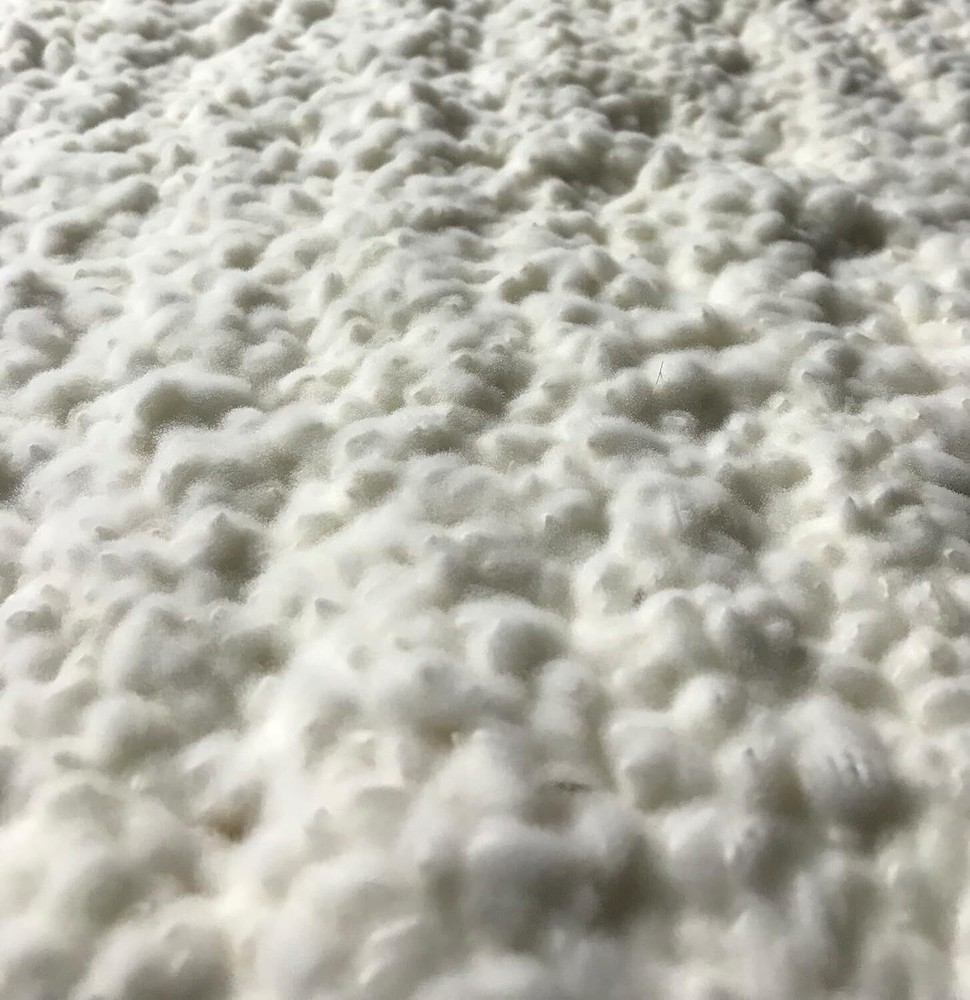 KOJI KIN Koji Mold starter for AMAZAKE MISO SAKE Komekoji 20g for 15kg Japan