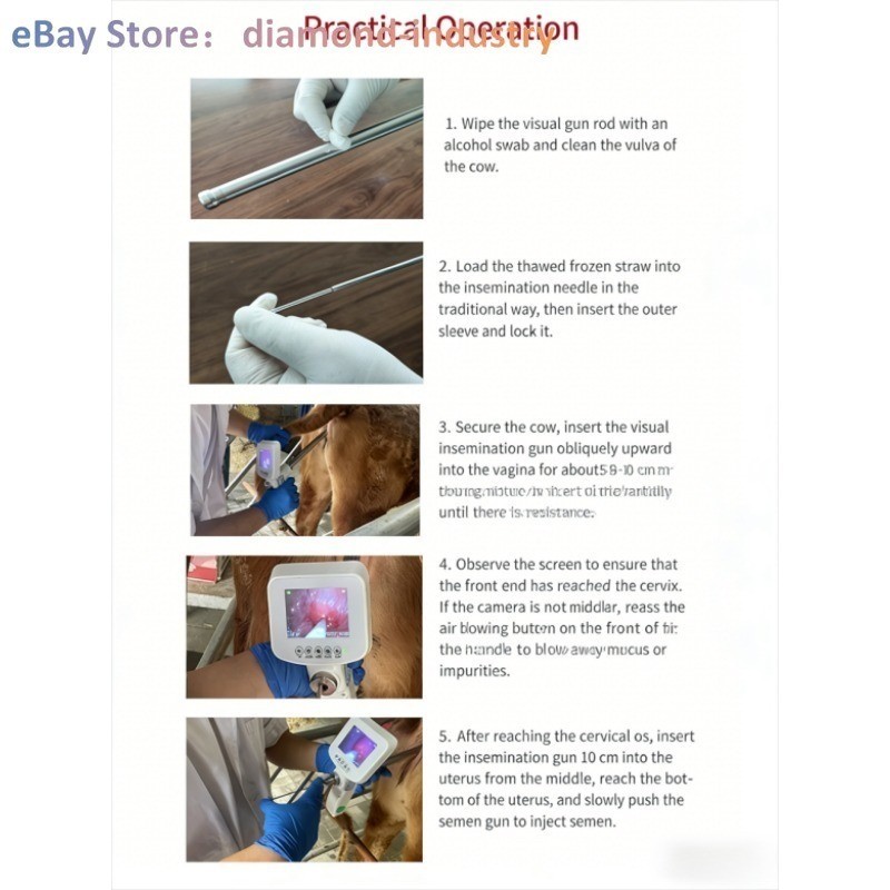 Visual insemination gun and inseminator for cattle Artificial insemination tools