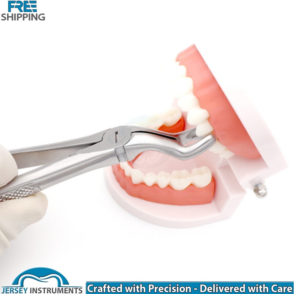 Professional Dental Extraction Teeth Forceps Fig 67A Upper Root Surgical Tool CE