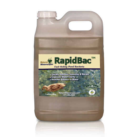RapidBac Pond Bacteria 1 gal