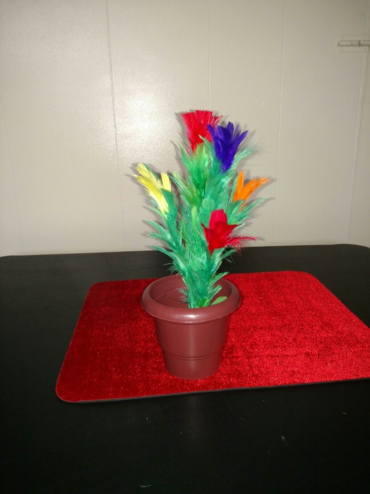 Antigravity Flower In Pot. Magic. Tricks. Illusion