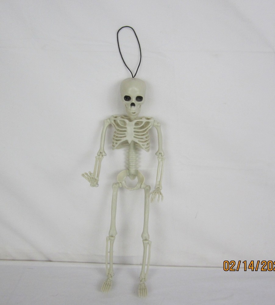 Halloween 14" Hanging Posable Skeleton
