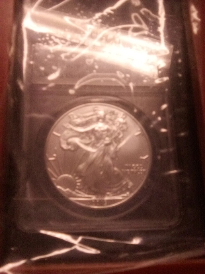 Silver Eagle Coin