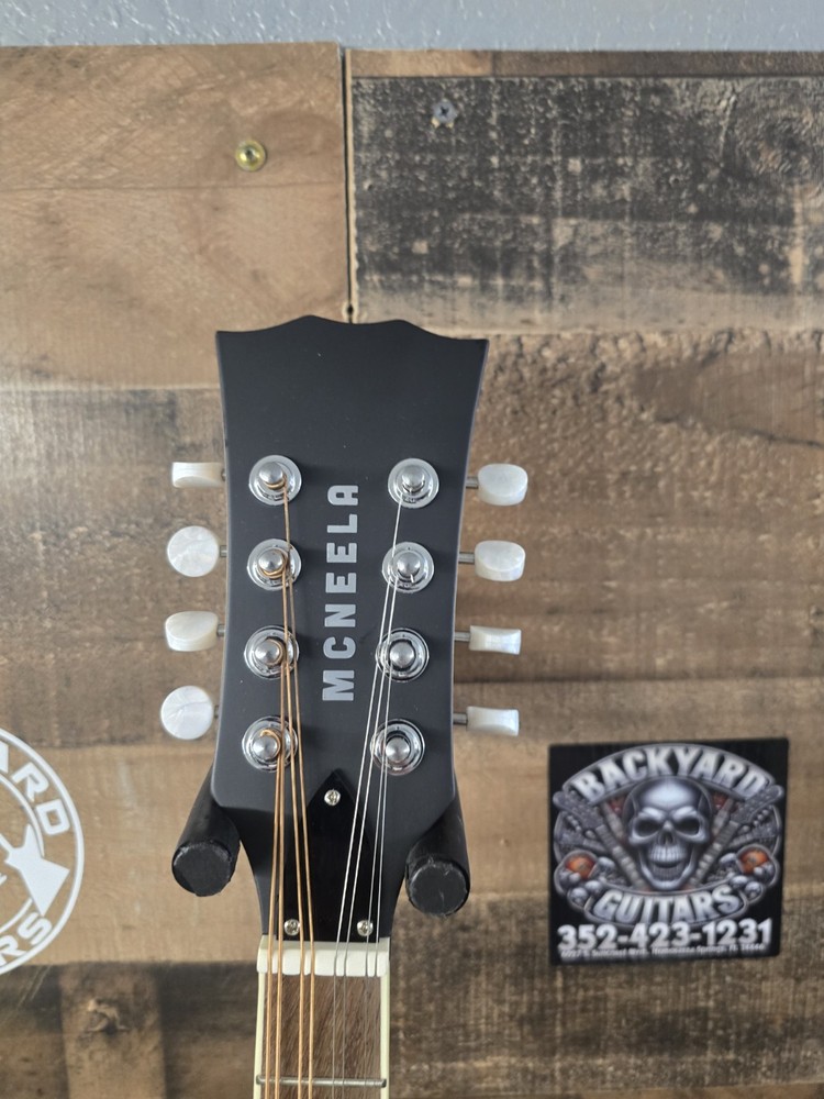 Mcneela ElectroMandolin Clean