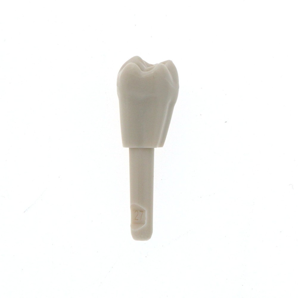 Dental Tooth Model fit for KaVo Basic Model Teeth Retention Mechanism 32 Pcs