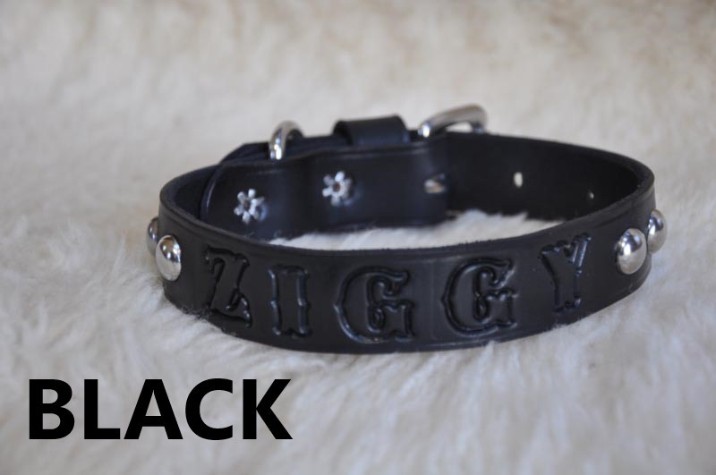 Leather Dog Custom Collar Personalized Free 2" WIDE Custom Quality Leather
