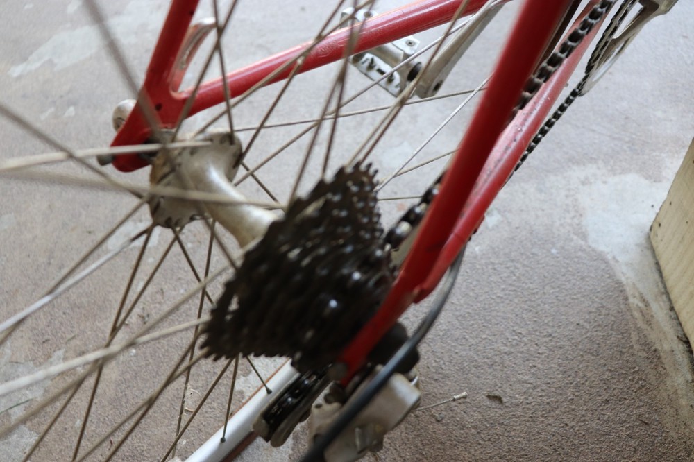 Lemond Reynolds Bicycle Racing