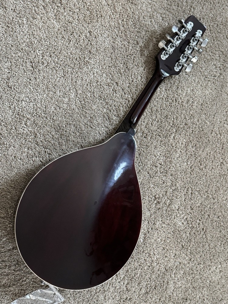 Morgan Monroe MM-100AM A-Style Mandolin
