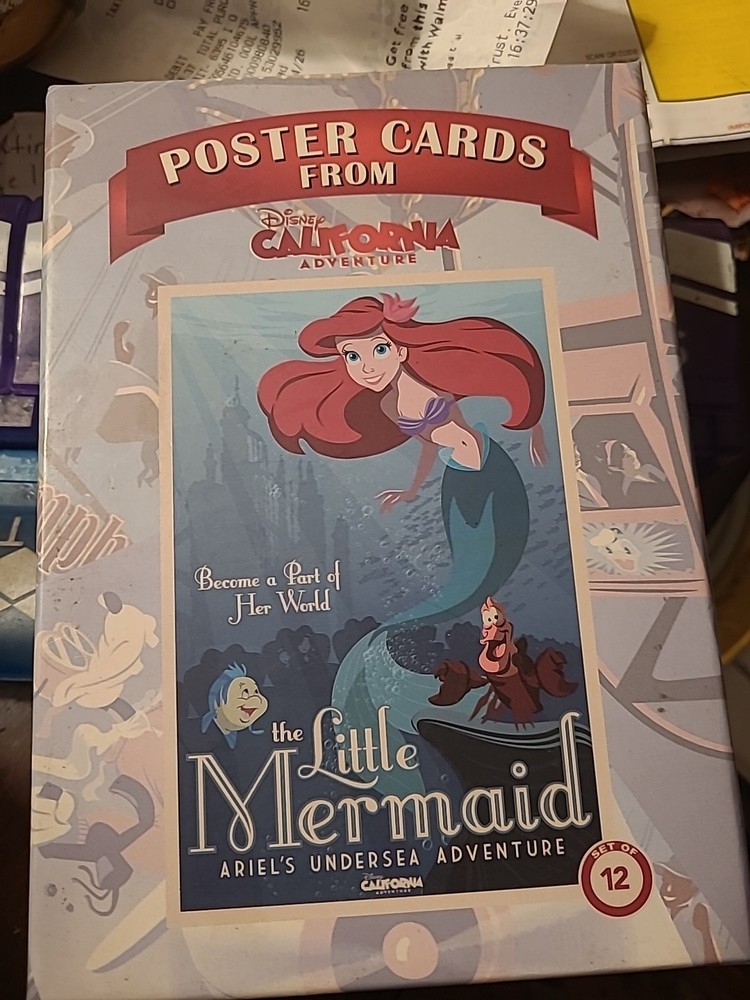 Hard Wrapping Box Feature Disney Little  Mermaid (Original)
