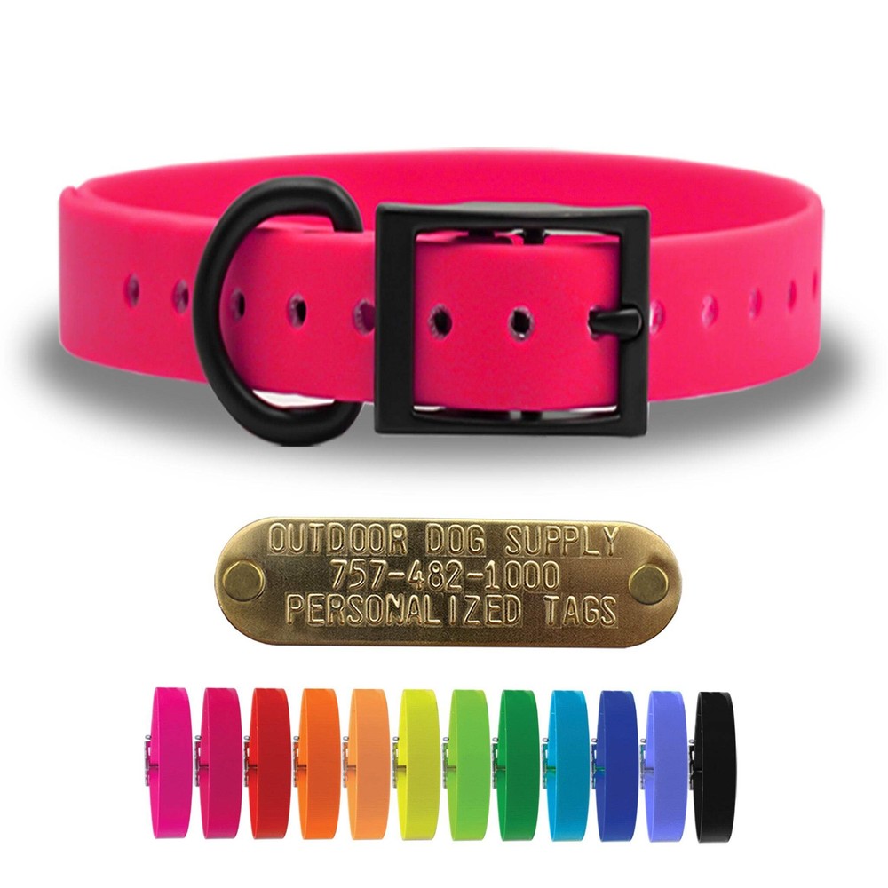 1" Solid SoftFlex Beta D Ring Dog Collar with Brass Name Plate