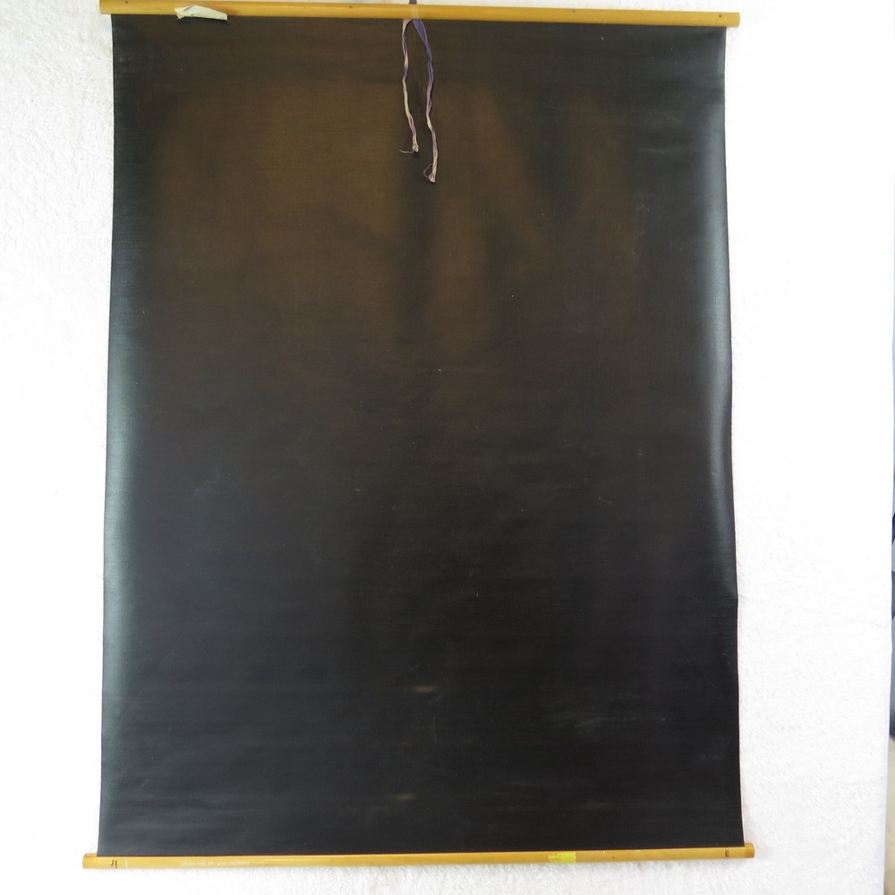 Pull Down School RNA Chart Ribonucleic Acid Plastic Wood 1964 Science Class Biol