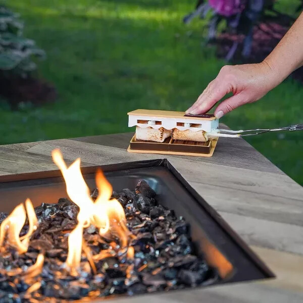 Hershey's S'mores Buddy