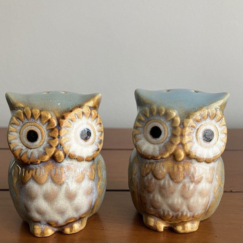 Ceramic Owl Salt & Pepper Shaker Set Whimsical Kitchen Decor Cottagecore