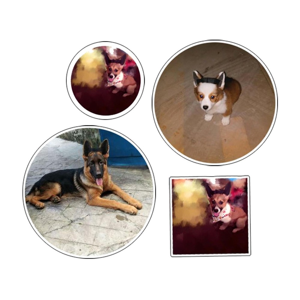 2 pieces Dog Ears Stand Up Support Durable