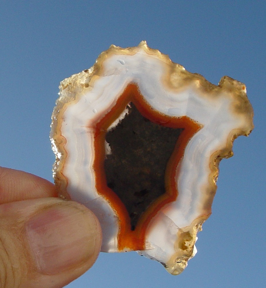Laguna Agate Lapidary Slab T1295