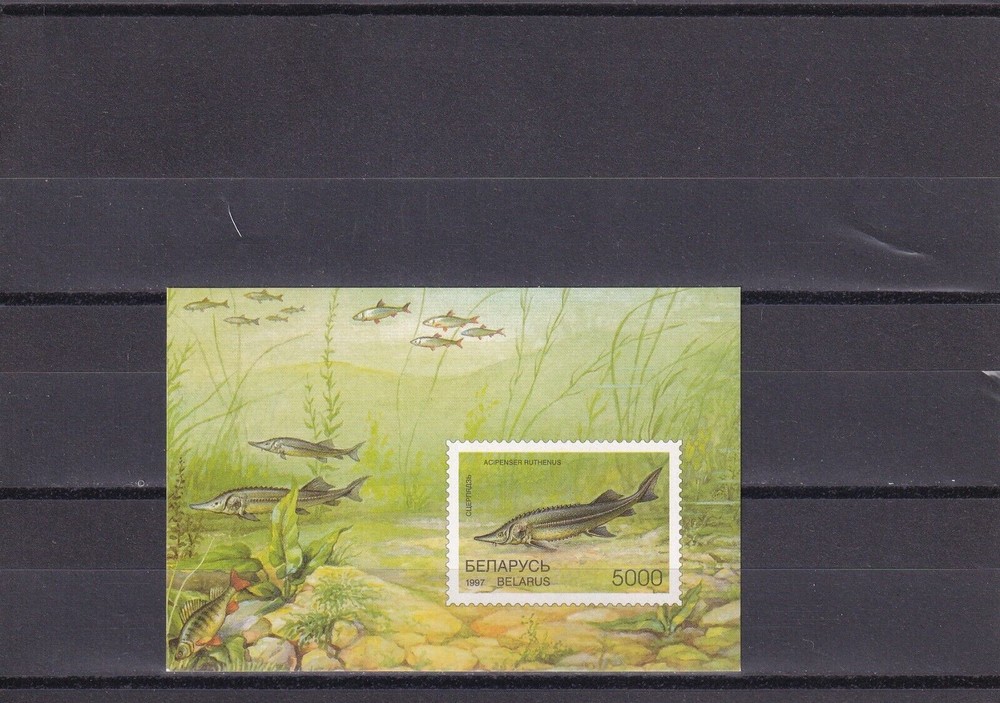 SA06a Belarus 1997 Fish mint minisheet imperforated