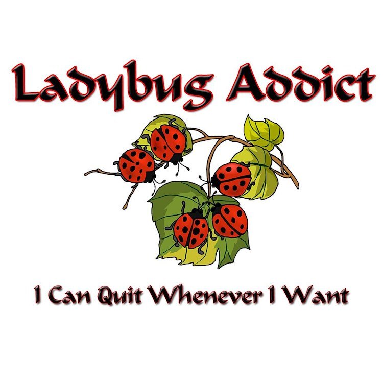 CafePress Ladybug Addict 10" Wall Clock (265406359)