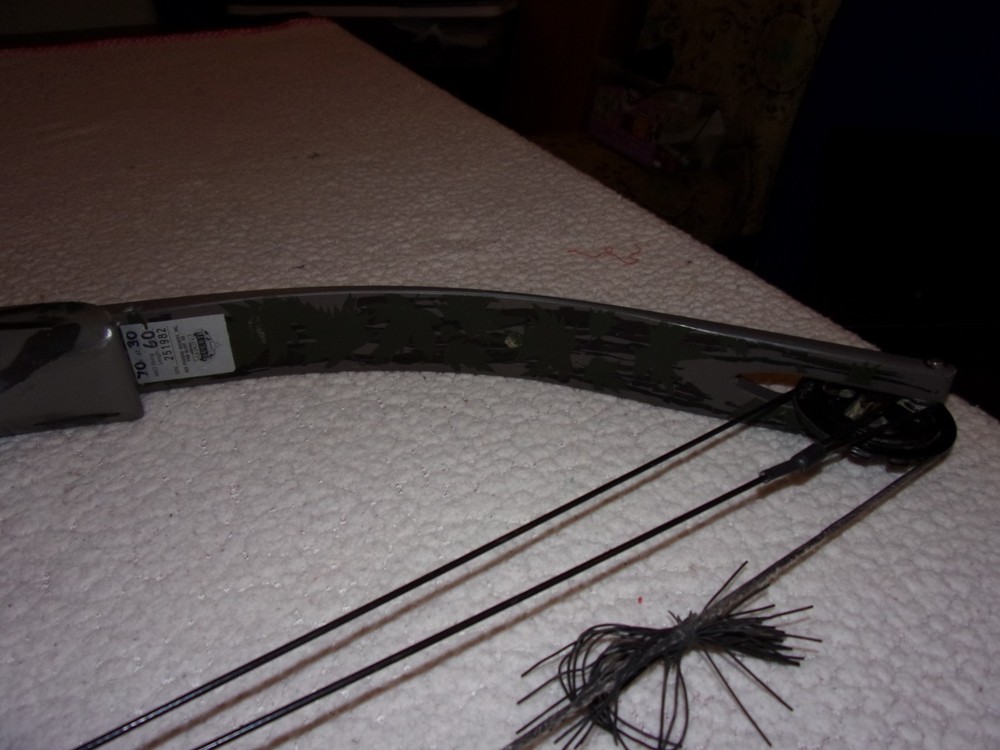 Ben Pearson Compound Bow