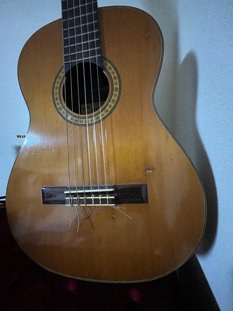 Pepe Classical Guitar No Case With Scratches, Other Sizes Available