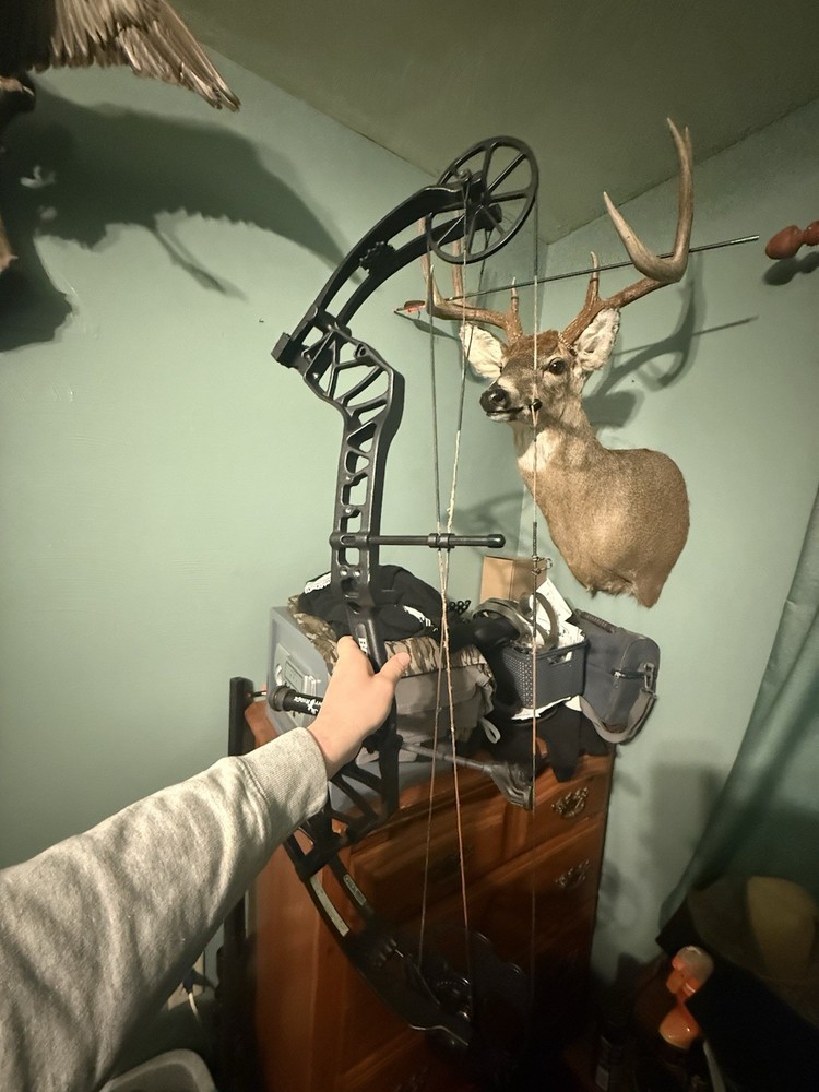 Bear Species EV 55-70 Pound Left Hand black