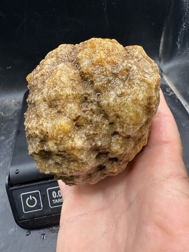 Fossilized Indiana Geode Crystal Agate Crinoid 4,720 Carats