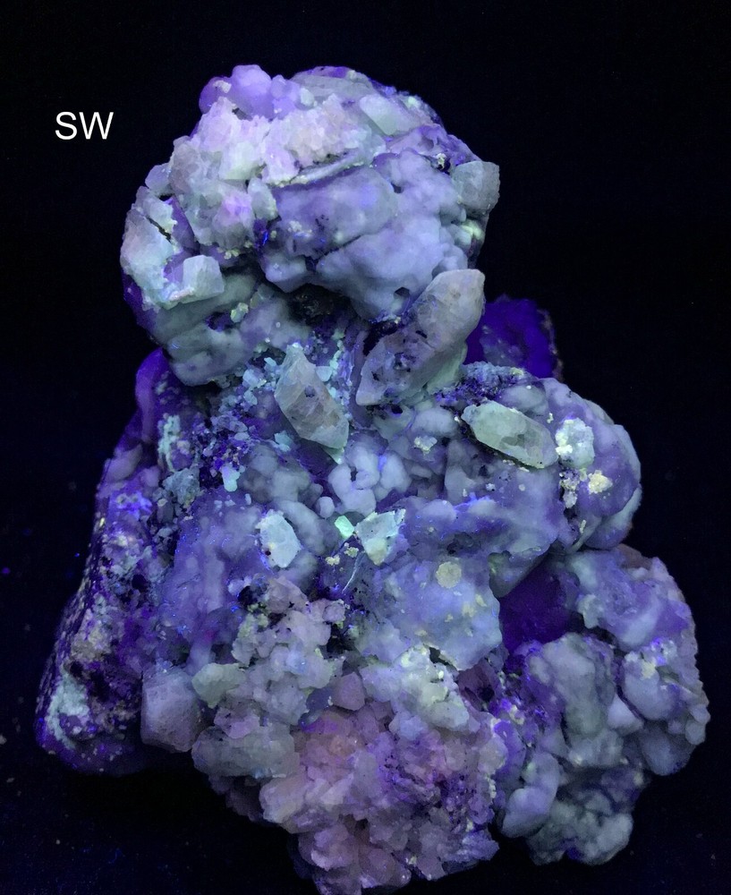 1030 GM Fluorescent,Phosphorescent Hackmanite on matrix Sar e Sang Afghanistan