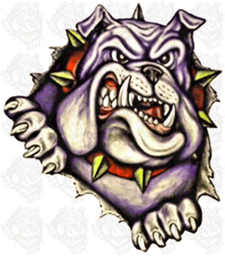 Angry Bulldog Custom Graphics Decals