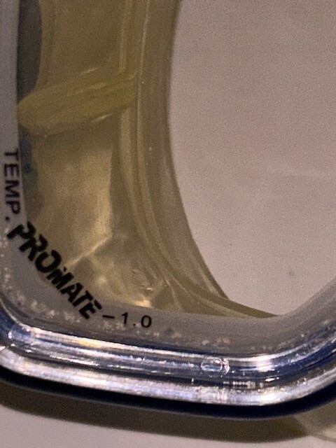 Promate Blue Adjustable Strap Dive Mask w/ Plastic Case (50)