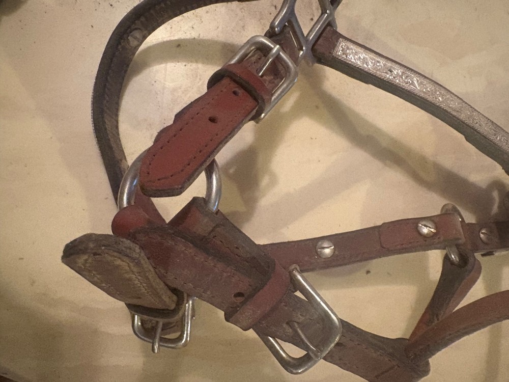Leather Small Horse Show Halter with Silver. Small size