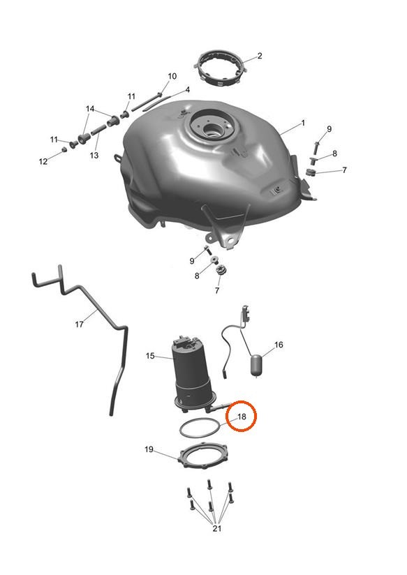 Triumph T2401887 - Fuel Pump Module Seal