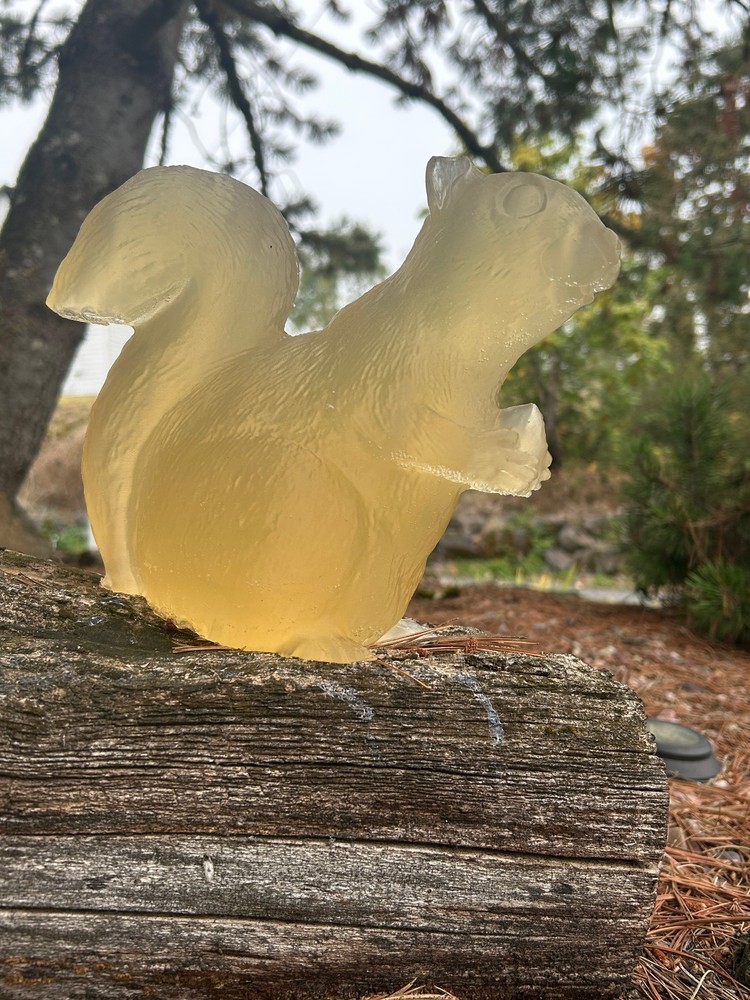Ballistic Gel Squirrel Target
