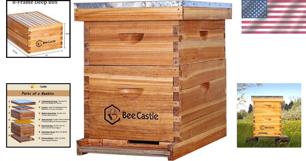 Elegant 8 Frame Langstroth Hive: Beeswax Coated, Modern Design & Starter Kit