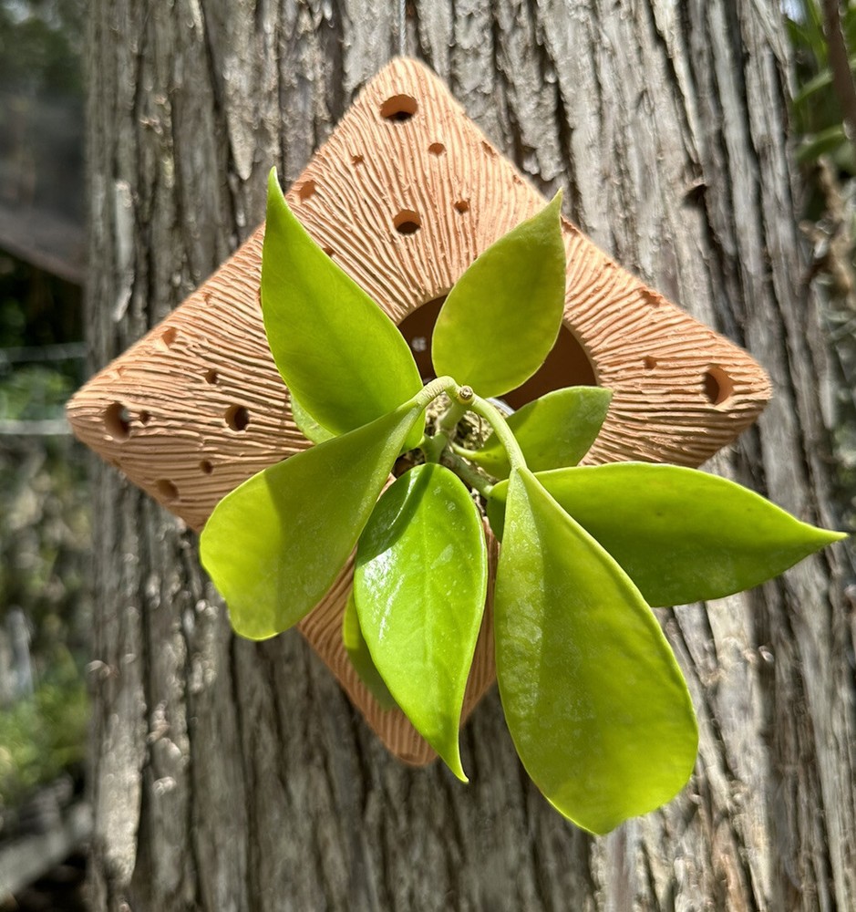ARTISAN  HANGING CRESCENT MOON PLANTER.