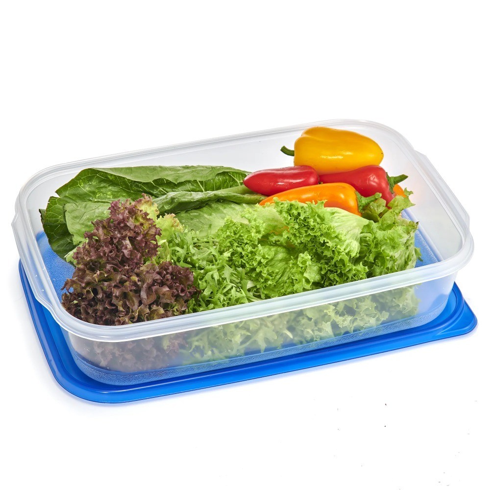 2 Pack Rectangular 1 Gallon Plastic Food Storage Container for Pantry