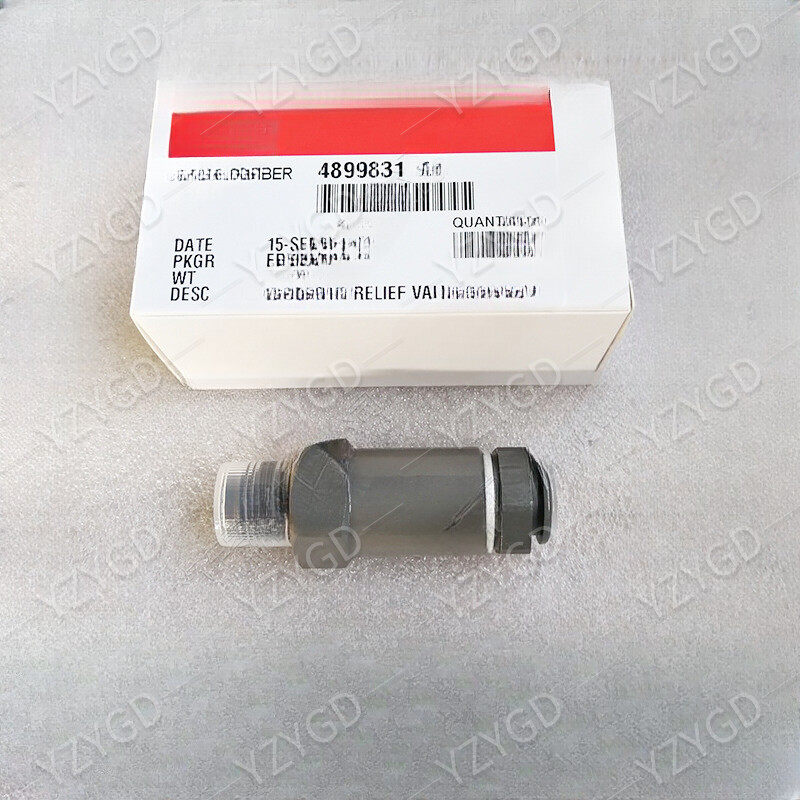 For Cummins Fuel Pressure Relief Valve 1110010035 4899804 4899831 F00R000775