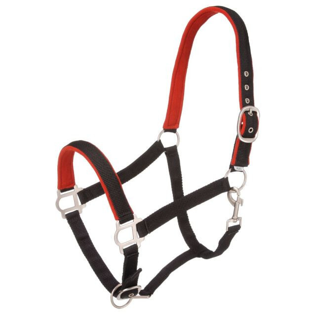Padded Pony Halter with Satin Hardware