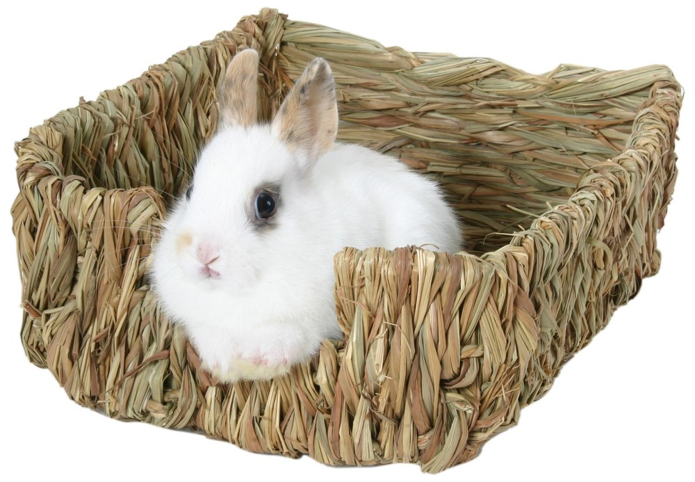 Woven Grass Pet Bed