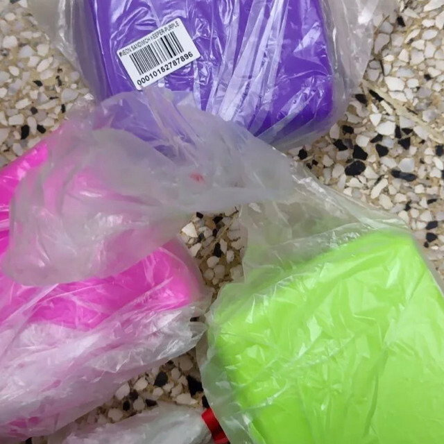 Tupperware Sandwich Keeper Lunch Box (3 pack) Multi Color