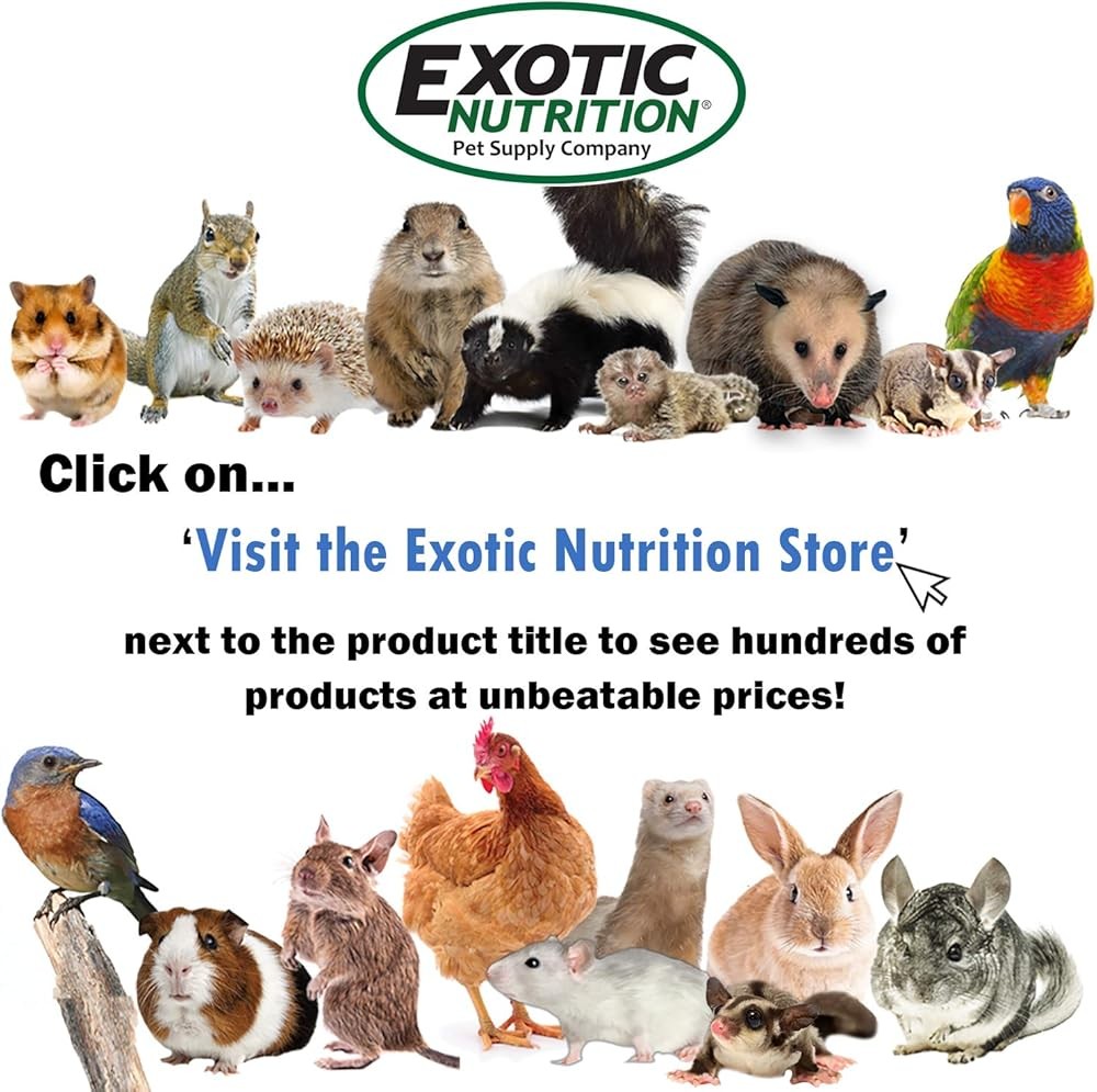 Exotic Nutrit Nesting Material - Cotton Eco-Friendly