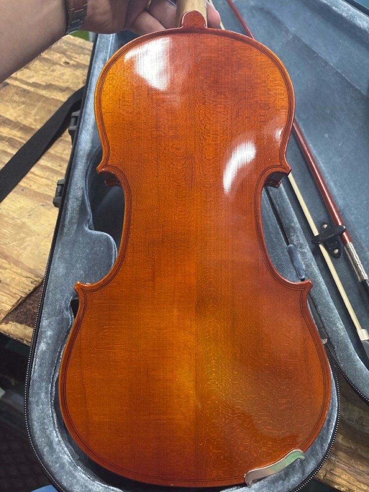 VIOLIN (HPB015511)