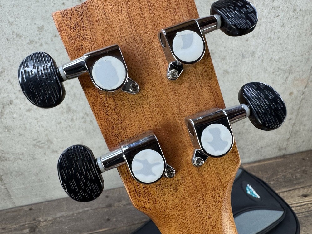 Eastrock Ukulele With Case