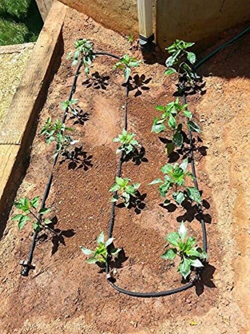 75 Foot Flat Weeper Soaker Hose - Drip Irrigation - Double Layer Design - 2